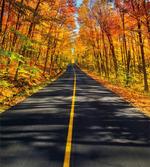 Rural Road Countryside