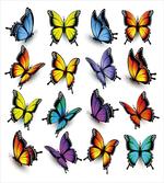 Colorful Wings Spring