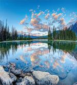 Golden Sunrise Scenery