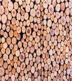 Wooden Lumber Tree Logs