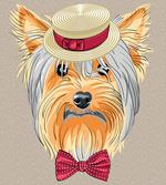 Hipster Gentleman Dog