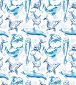Sketch of Dolphins
