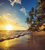 Exotic Beach Sunset artwork