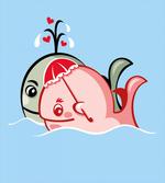 Whale Couple