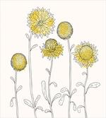 Hand Drawn Botany artwork