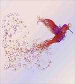 Abstract Hummingbird