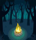 Campfire Woods Night