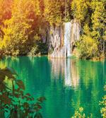 Colorful Forest and Lake