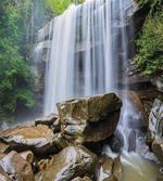 Tropical Waterfalls