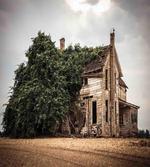 House Rural Ivy
