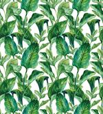 Watercolored Banana Tree