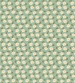 Daisies