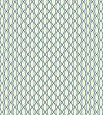 Fishing Net Lattice