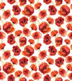 Poppies Garden Floral