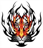 Jungle Tigers Prince