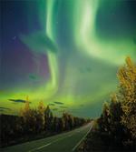 Nordic Rays of Sun