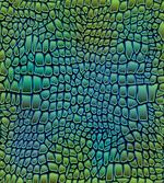 Alligator Skin