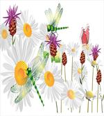 Daisy Field Spring artwork