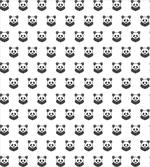 Panda Bear Portraits