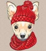 Fashionable Dog