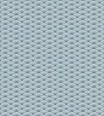 Hand Drawn Fish Skin