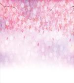 Sakura Bloom Florets artwork
