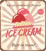 Homemade Ice Cream