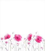 Pink Poppy Flowers Art