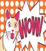 Comic Cat with Wow Lettering
