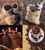 Rustic Collage of Grains