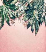 Exotic Jungle Botany Photo