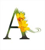 Floweringlphabet