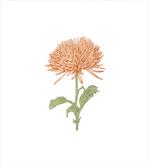 Retro Blooming Nature