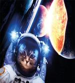 Supernova Eclipse artwork