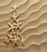 Tree from Shells