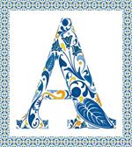 Geometric Framework