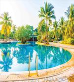Pool Resort Travel