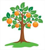 Orange Tree Design