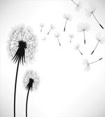 Seed Blowing Away Floral