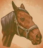 Engraving Horse Head artwork