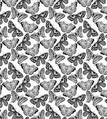 Abstract Fauna