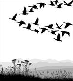 Flying Geese Pattern