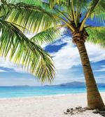 Sandy Beach Sunny