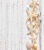 Seashells and Starfish