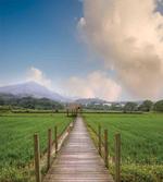 Wooden Rural Path