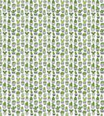 Succulent Houseplants