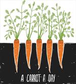 Growing Carrots