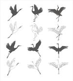 Greyscale Bird Different Side