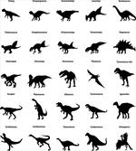 Evolution of Wildlife artwork