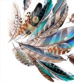 Contour Feather Fashion